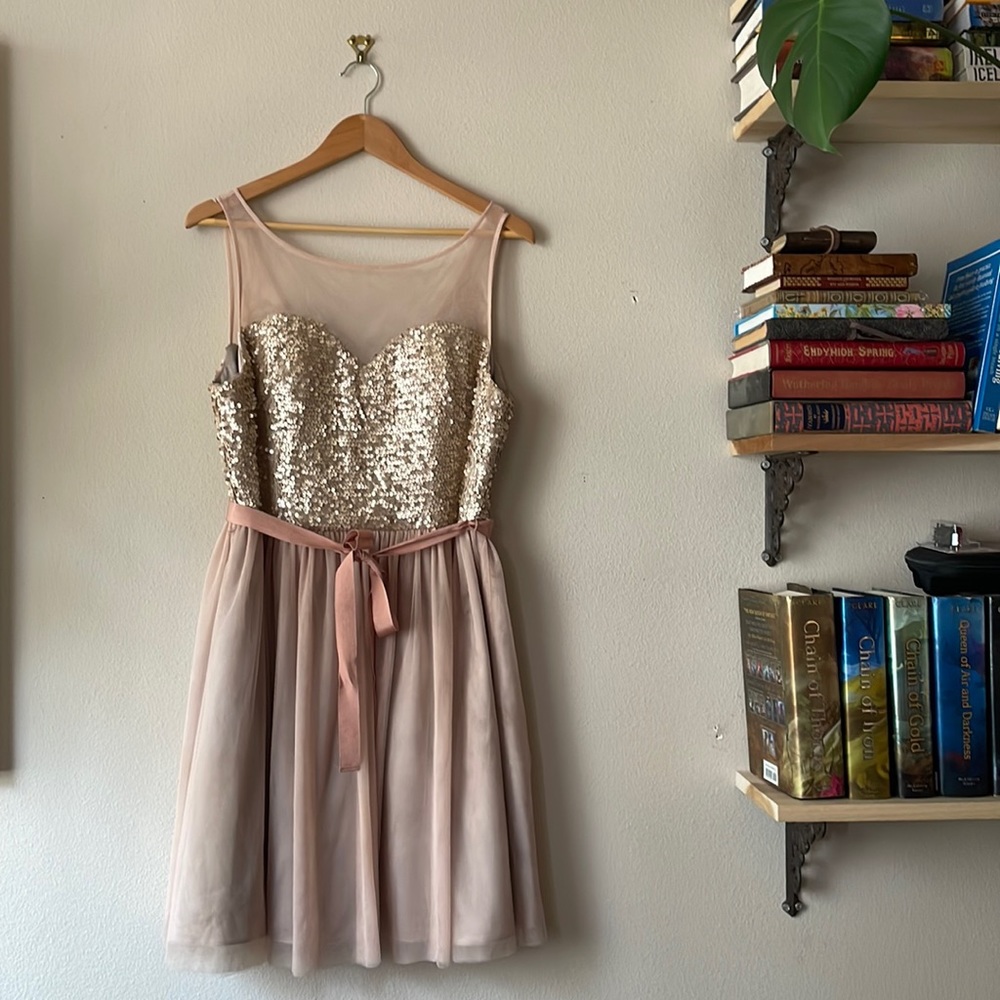 Soft pink, sequins, tulle skirt and mesh top Built in petticoat invisible zipper